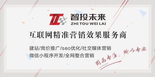 长沙SEO优化指南 如何选择适合智投未来网站的空间